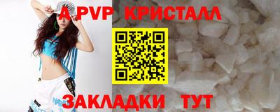 спиды Кинель